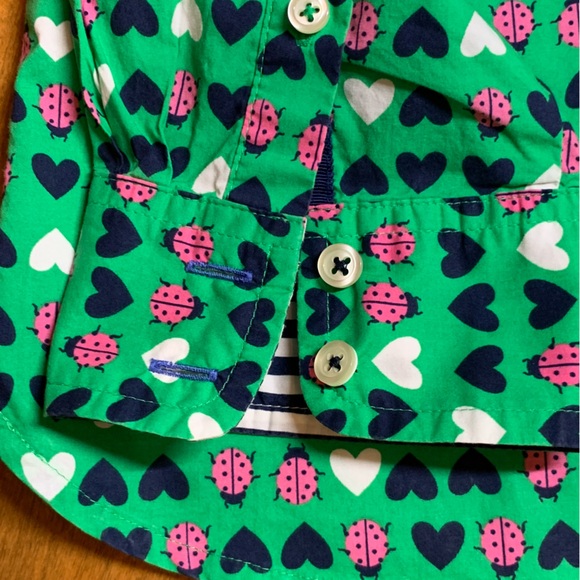 Talbots Green and Pink Vintage Heart and Ladybug Print Blouse, EUC, Med Petite - Picture 7 of 8